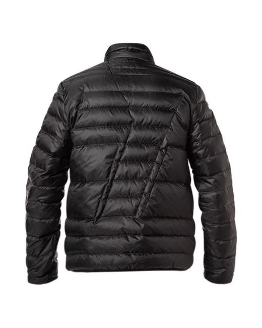 EA7 Herren Daunenjacke Mikrofaser Unifarben in Black für Herren