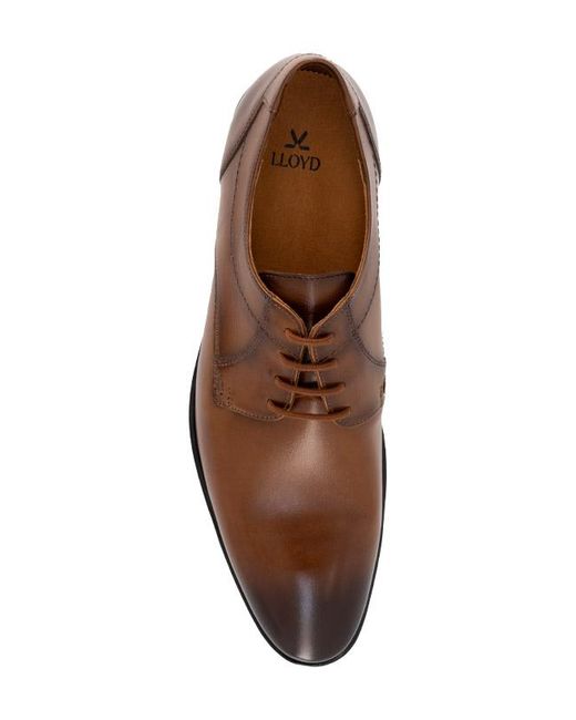 Lloyd Herren Derby Braun, Cognac Glattleder in Brown für Herren