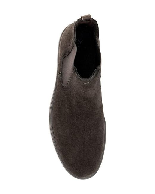 Lloyd Herren Chelsea Boots Velours in Brown für Herren