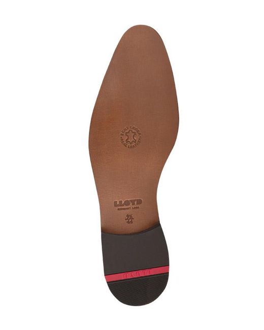 Lloyd Herren Derby Glattleder in Brown für Herren