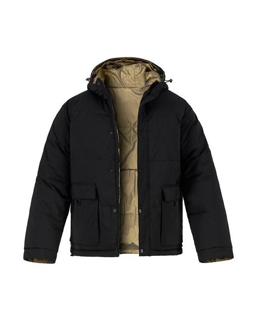 Karl Lagerfeld Herren Steppjacke Unifarben in Black für Herren