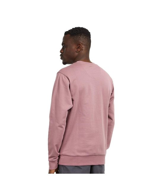 Patagonia Regenerative Organic Certified Cotton Crewneck Sweatshirt in Pink  für Herren | Lyst DE