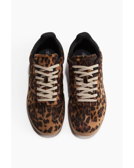H&M Brown Sneaker