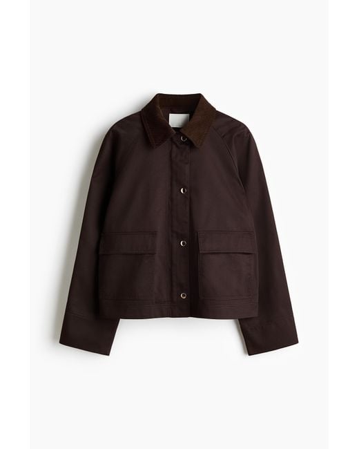 H&M Brown Jacke mit Cordkragen