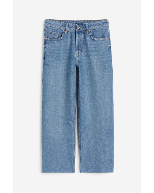 H&M Blue Baggy Wide Low Ankle Jeans