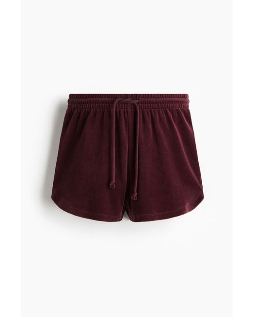 H&M Red Veloursshorts