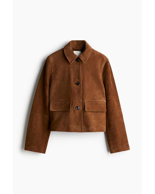 H&M Brown Jacke aus Veloursleder