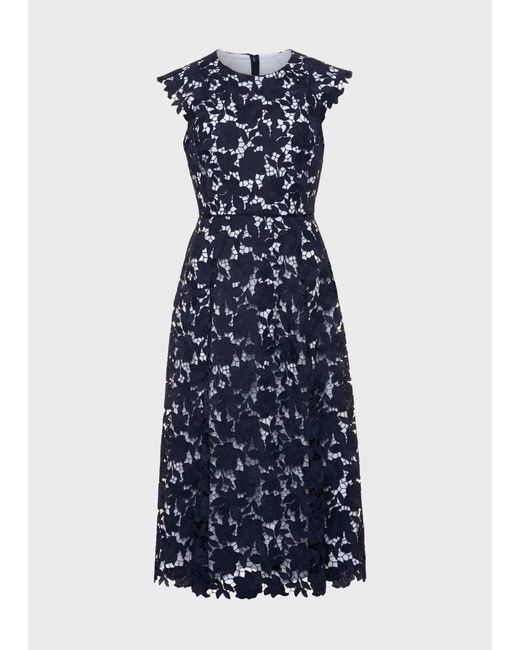 Hobbs Blue Pheobe Lace Dress