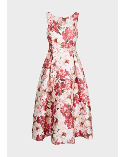 Hobbs pink hotsell floral dress