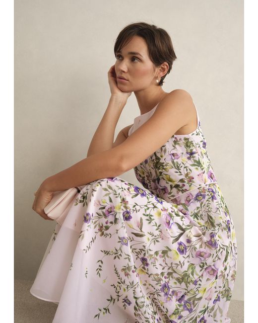 Hobbs Brown Petite Carly Floral Dress