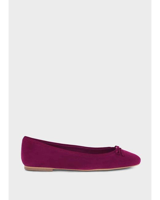 Hobbs Purple Lisa Ballerinas