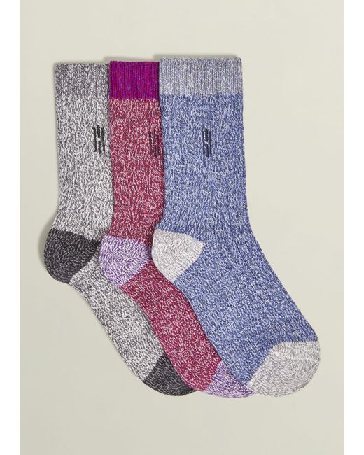 Hobbs Purple Marled Boot Sock Set with Embroidery