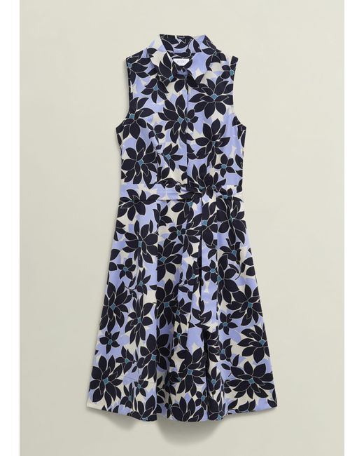 Hobbs Brown Beki Cotton Dress