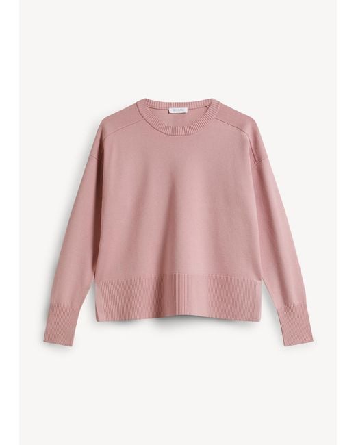Hobbs Pink Marsha Jumper