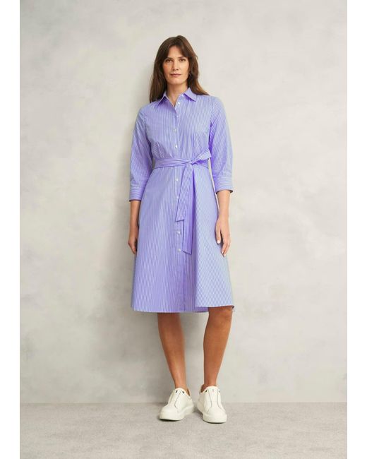 Hobbs Blue Petite Harlow Cotton Dress