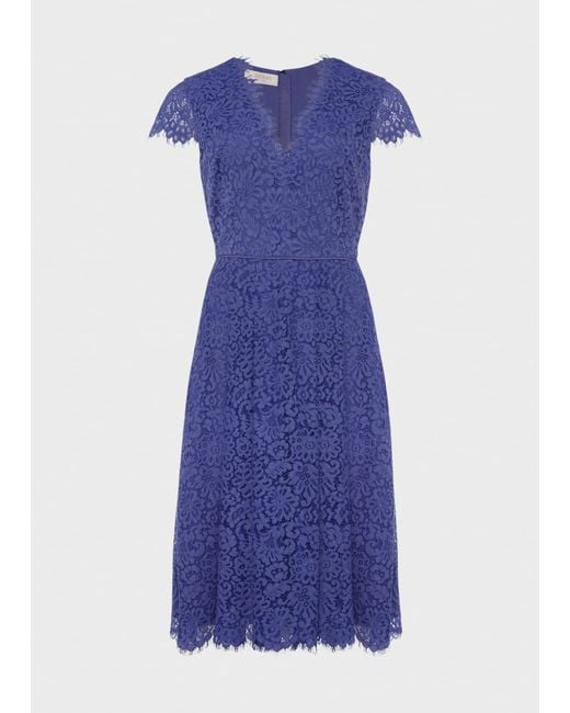 Hobbs Blue Anastasia Lace Fit And Flare Dress