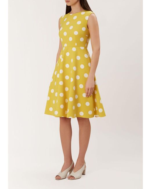 hobbs polka dot dress