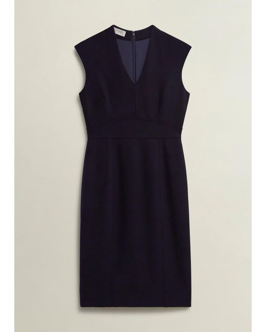 Hobbs Natural Petite Aly Dress