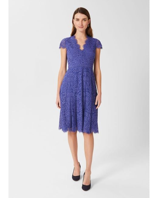 Hobbs Blue Anastasia Lace Fit And Flare Dress