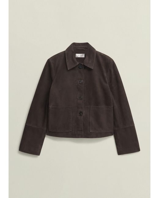 Hobbs Brown Montana Suede Jacket
