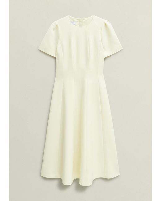 Hobbs Brown Eliana Seam Detail Dress