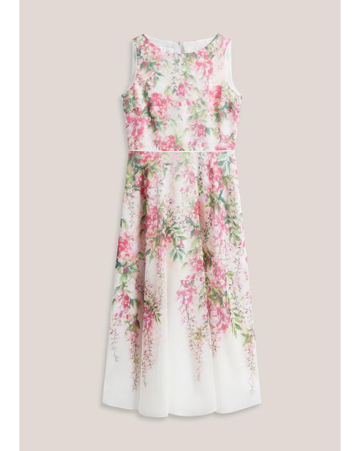 Hobbs Natural Carly Floral Dress
