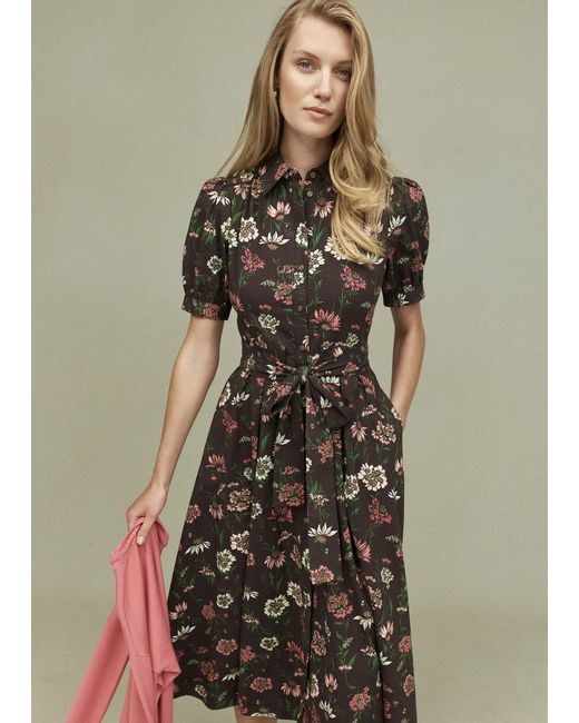 Hobbs Brown Hester Dress