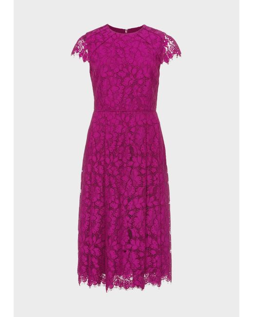 Hobbs Purple Petite Rosaleen Lace Shift Dress