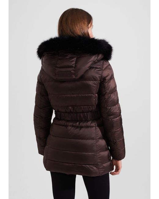 Hobbs Harriet Puffer in Brown Lyst UK