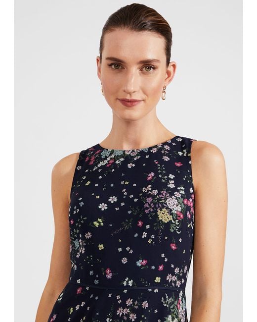 Hobbs Blue Carly Floral Fit And Flare Dress