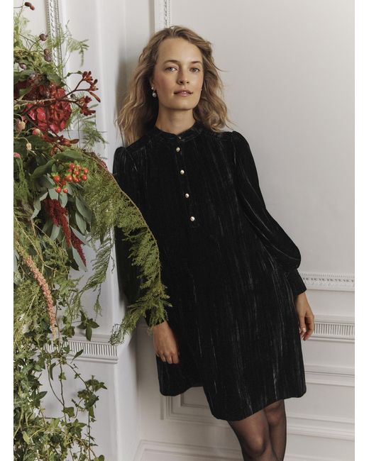 Hobbs Black Sienna Velvet Dress