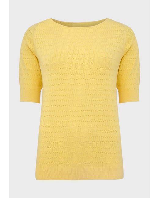 Hobbs Yellow Katia Jumper