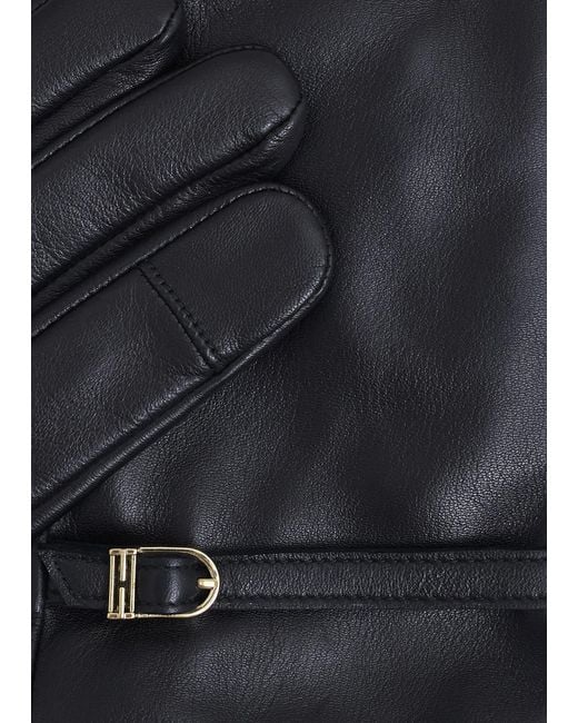 Hobbs Blue Lillia Leather Gloves