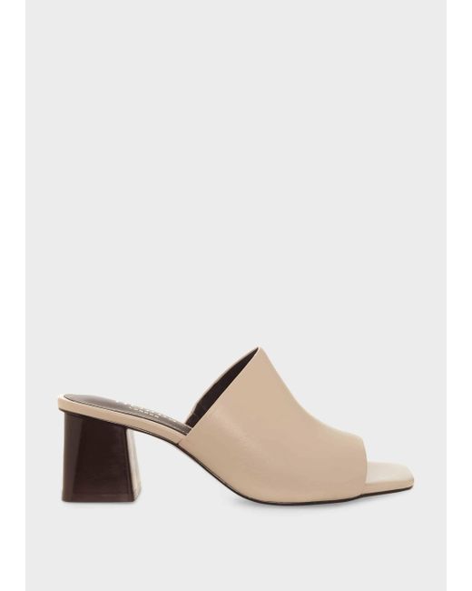 Hobbs White Dawn Mule
