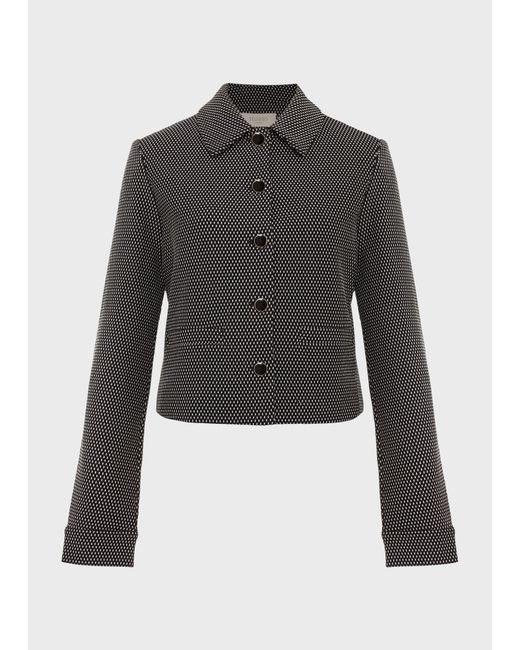 Hobbs Gray Violet Ponte Jacket
