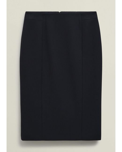 Hobbs Blue Ivy Skirt