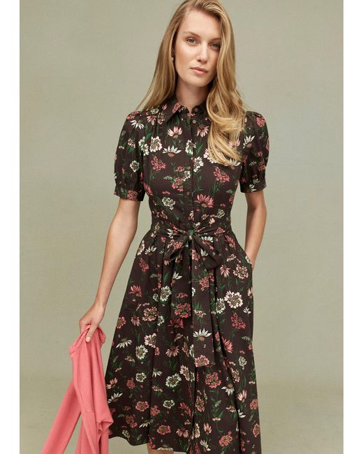 Hobbs Brown Hester Dress