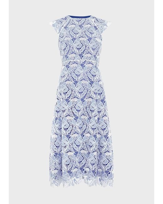 Hobbs Blue Petite Phoebe Lace Dress