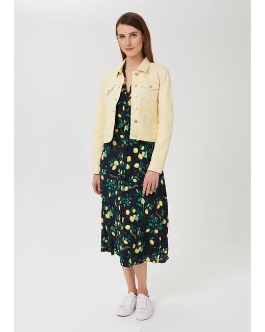 Hobbs Multicolor Mariam Jacket