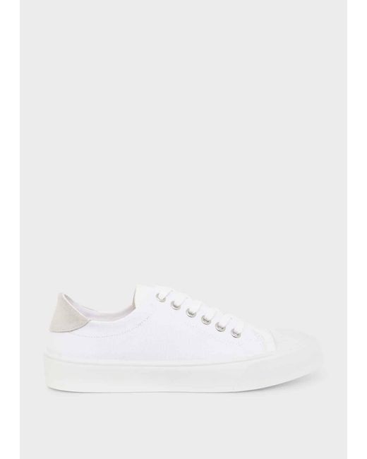 Hobbs plimsolls best sale