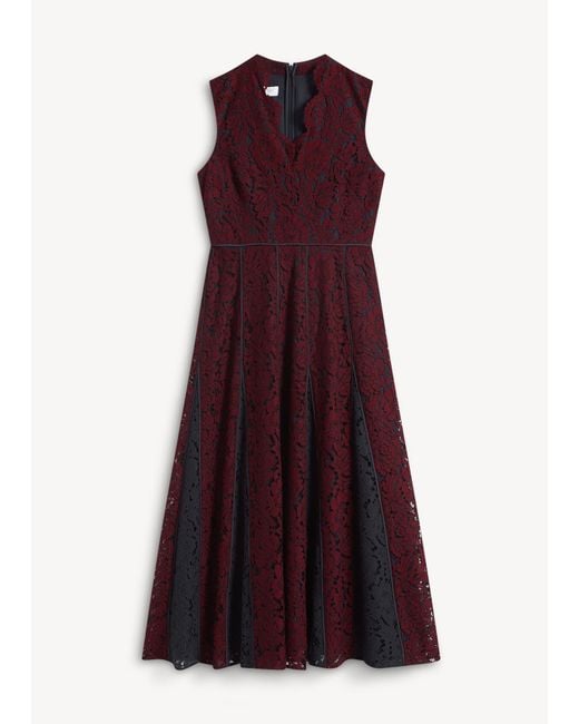 Hobbs Red Petite Quin Lace Dress
