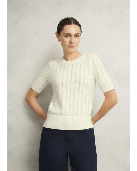 Hobbs Natural Calla Knitted Top