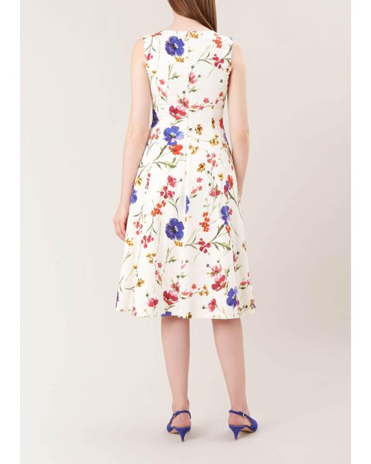 hobbs blue and white dress