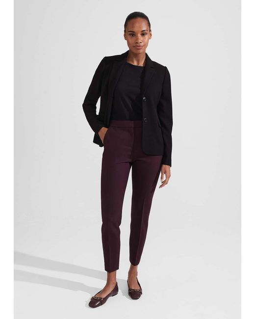 Hobbs Blue Gael Trousers