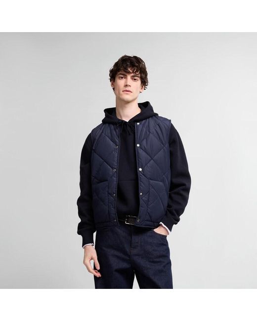 Chaleco Acolchado Hogan de hombre de color Blue