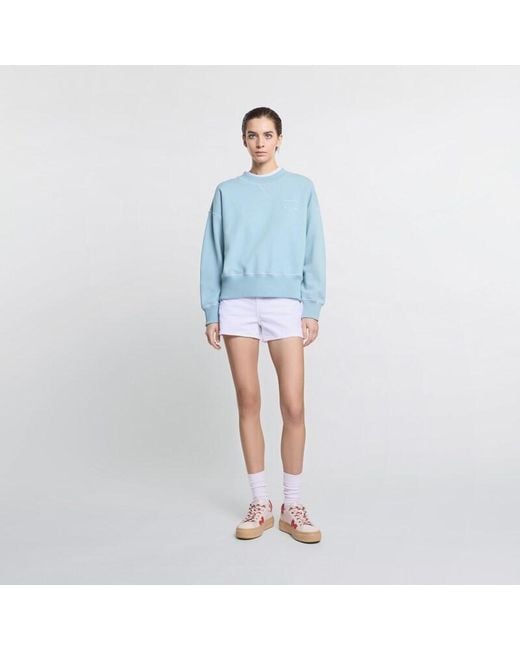 Hogan Blue Clothing,