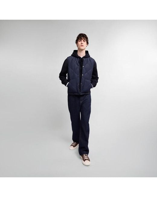 Chaleco Acolchado Hogan de hombre de color Blue