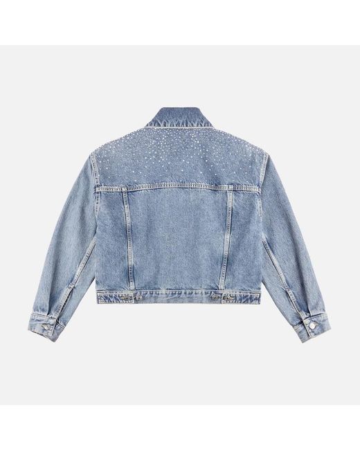 Hogan Blue Jackets,