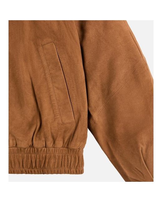 Hogan Brown Clothing,