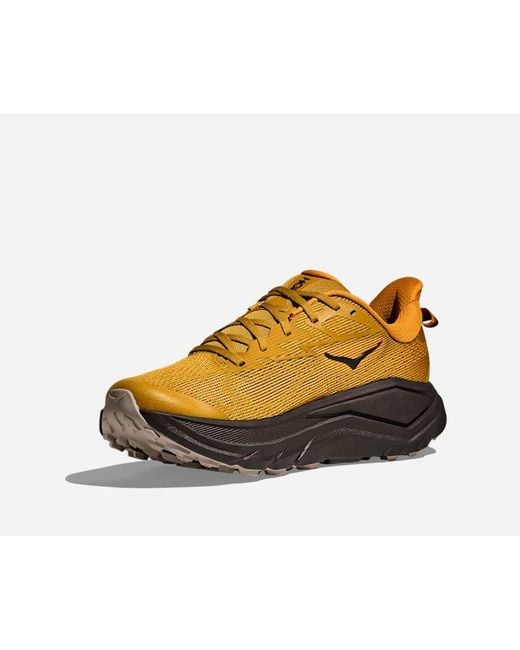 Hoka One One Multicolor Challenger 8 Road Running Shoes for men